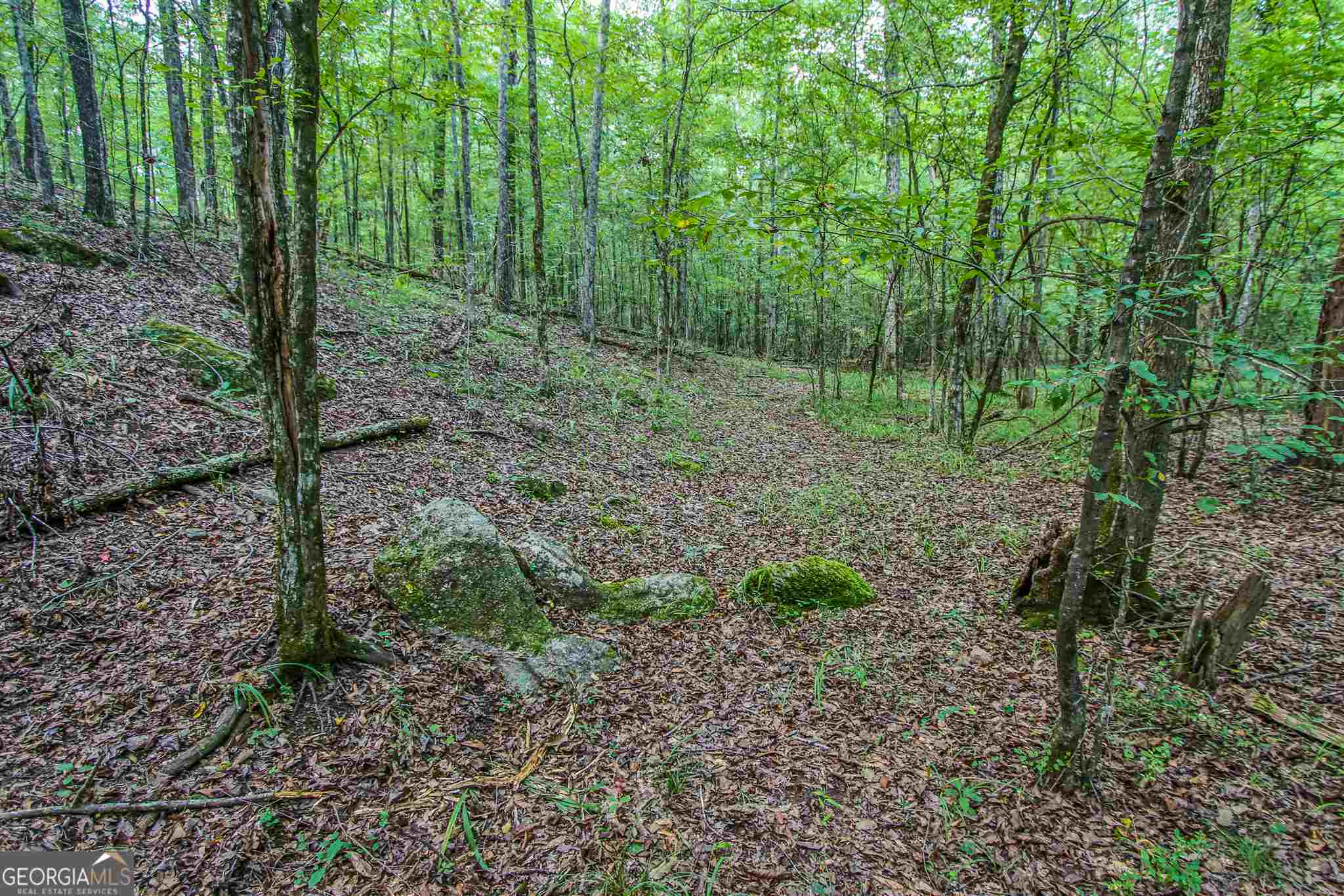 Tyrone, Georgia 30290, United States, ,Land,Pending,17263