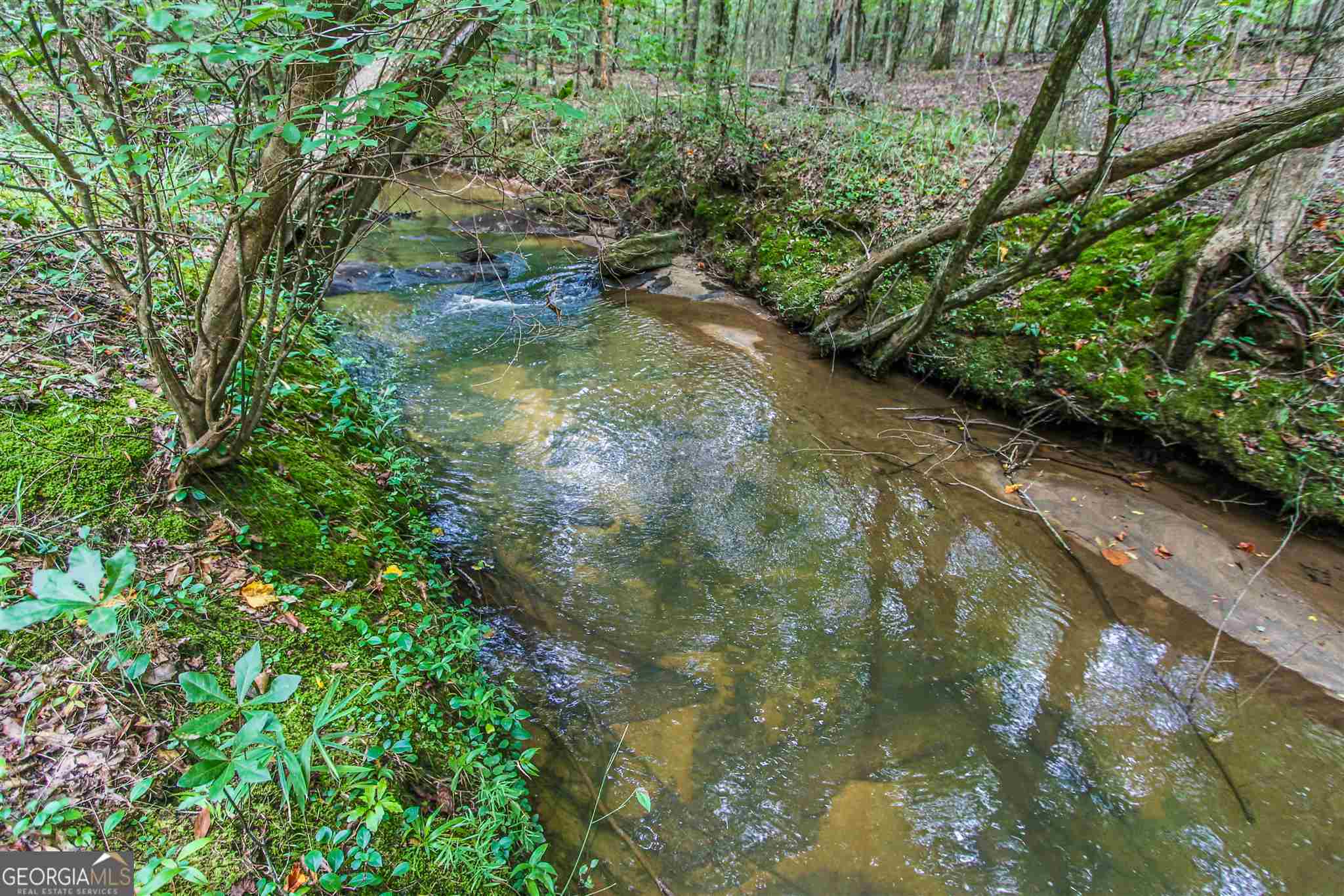 Tyrone, Georgia 30290, United States, ,Land,Pending,17263