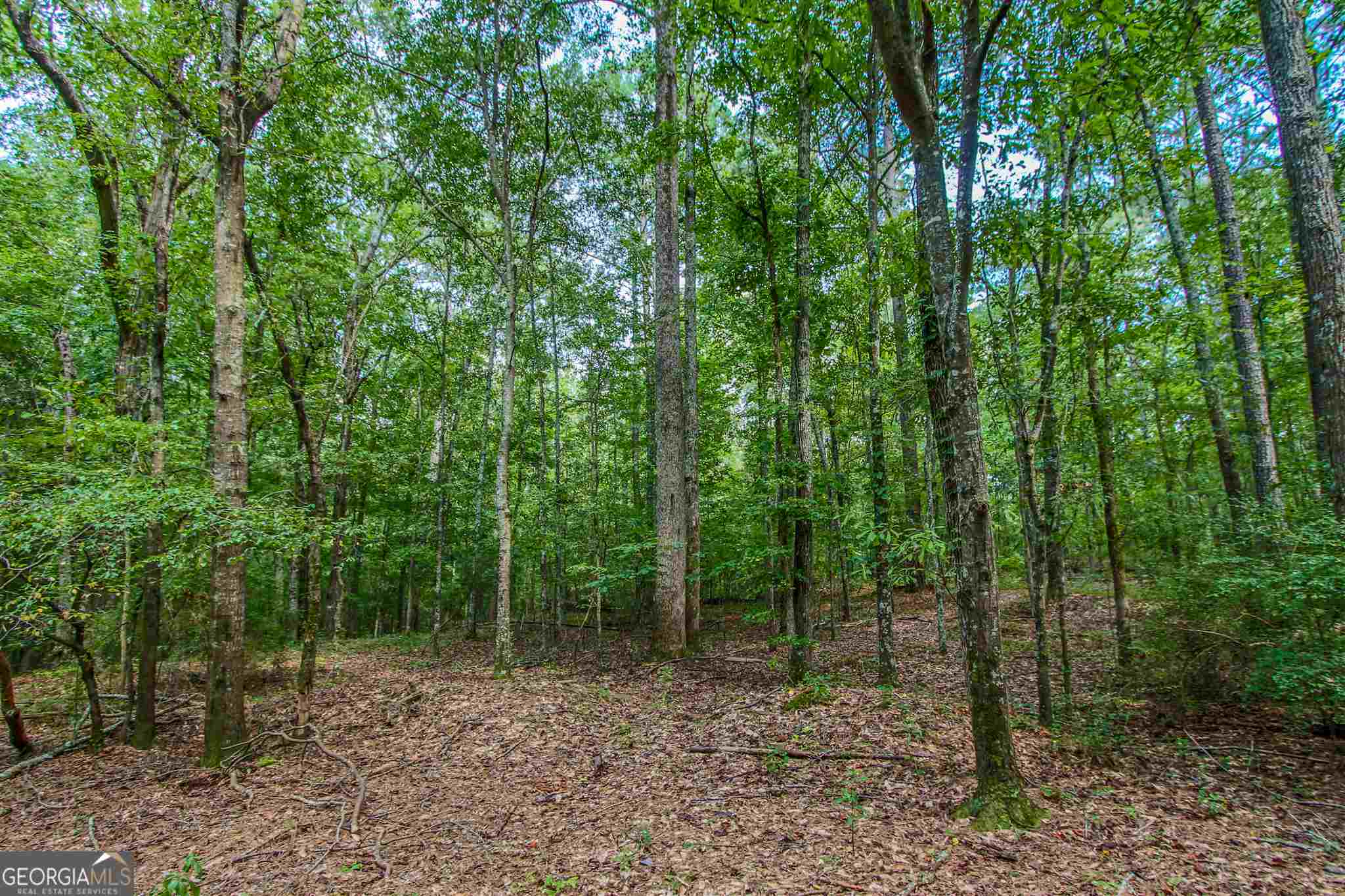 Tyrone, Georgia 30290, United States, ,Land,Pending,17263