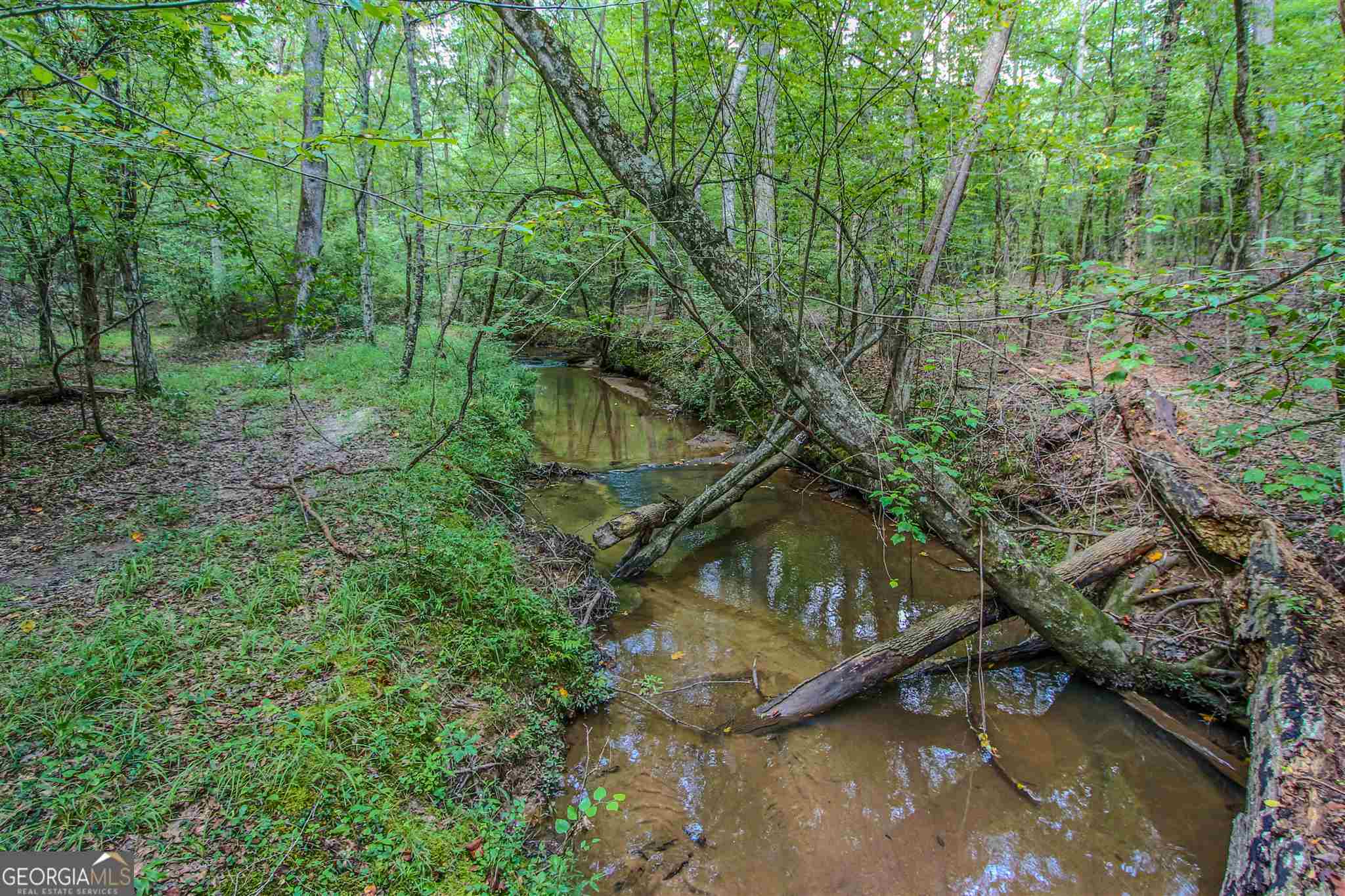 Tyrone, Georgia 30290, United States, ,Land,Pending,17263