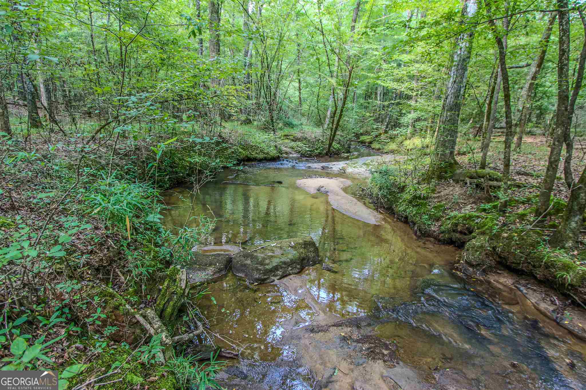 Tyrone, Georgia 30290, United States, ,Land,Pending,17263