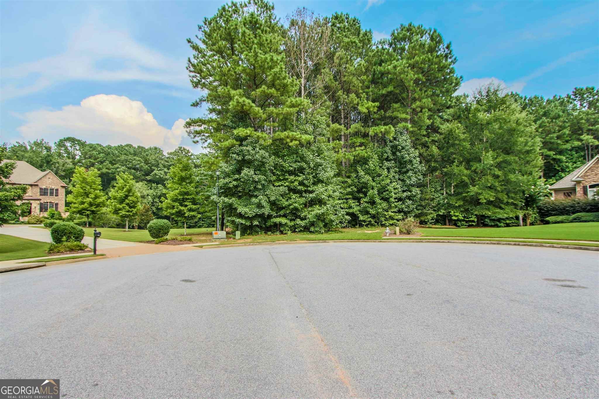 Tyrone, Georgia 30290, United States, ,Land,Pending,17263