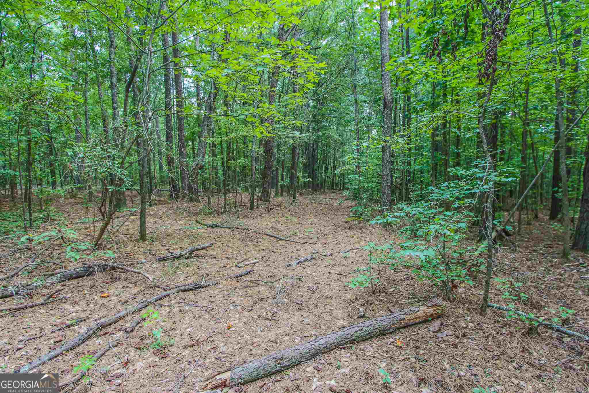 Tyrone, Georgia 30290, United States, ,Land,Pending,17263