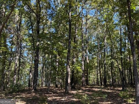 Photo of 0 County Road 701, Roanoke, AL 36274 (MLS # 10871830)