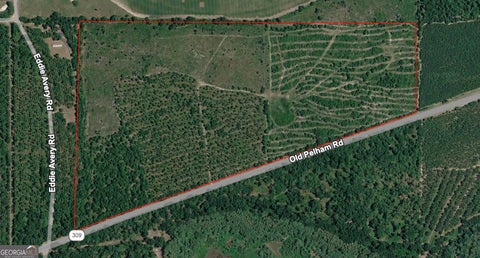 Photo of 0 Old Pelham Road, Climax, GA 39834 (MLS # 10871622)