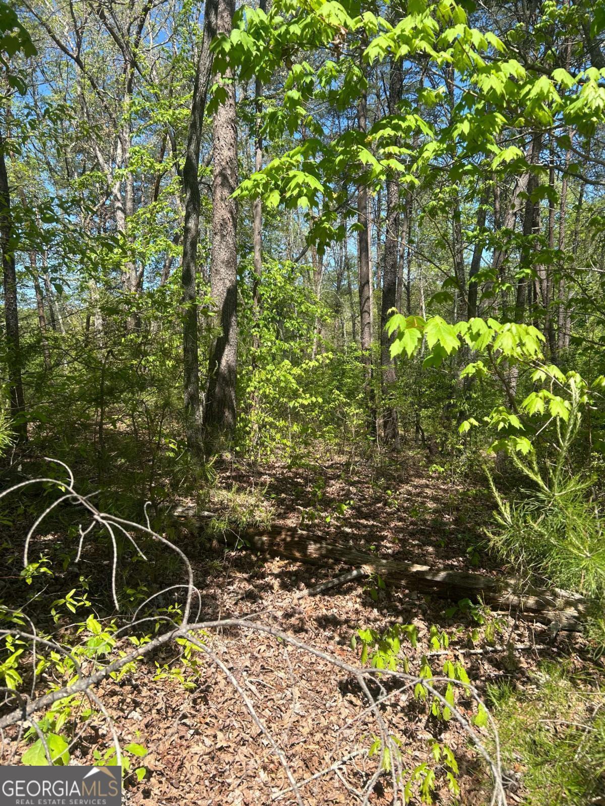 0 Windfield CIR 35, 36