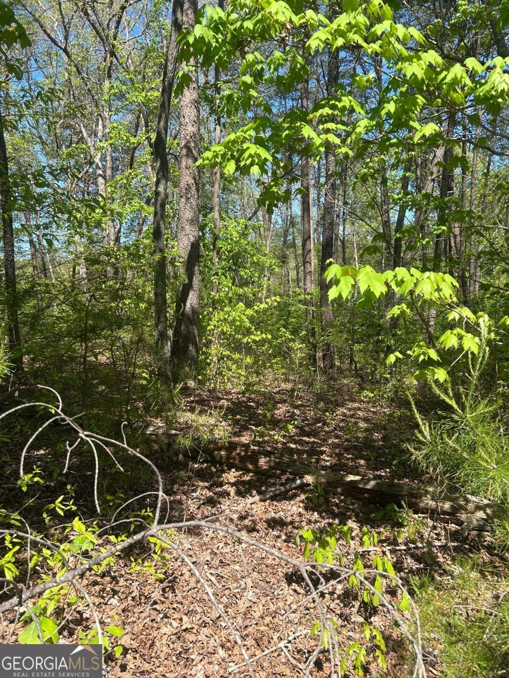 Photo of 0 Windfield Circle #35, 36, Blue Ridge, GA 30513 (MLS # 10737273)