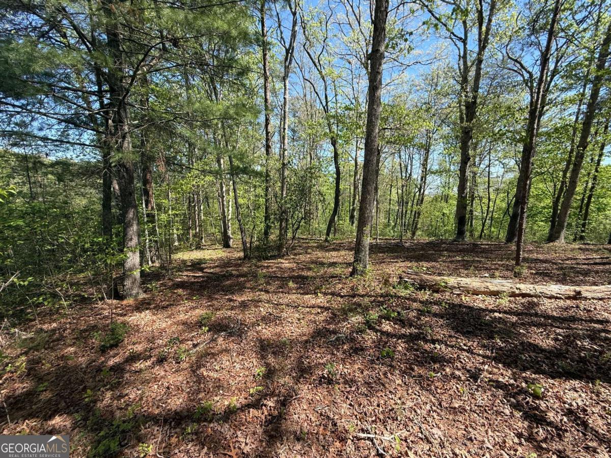 0 Windfield CIR 35, 36