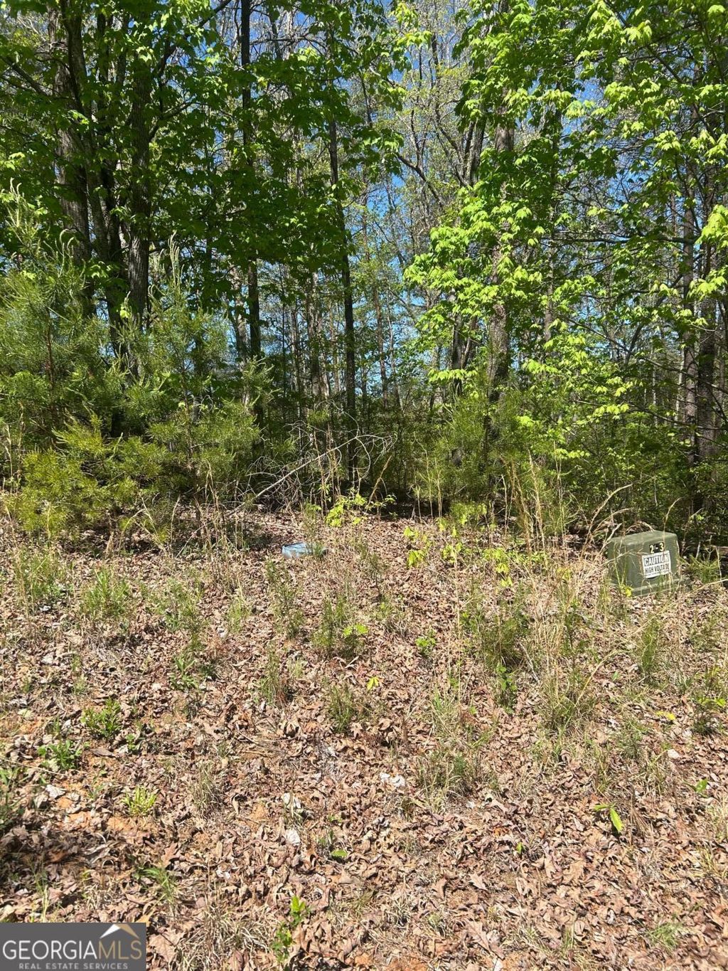 Photo of 0 Windfield Circle #35, 36, Blue Ridge, GA 30513 (MLS # 10737273)