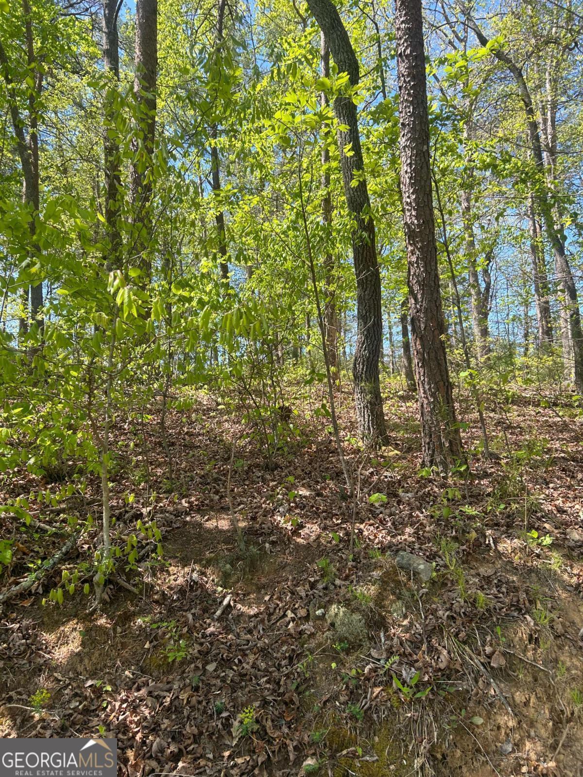 0 Windfield CIR 35, 36