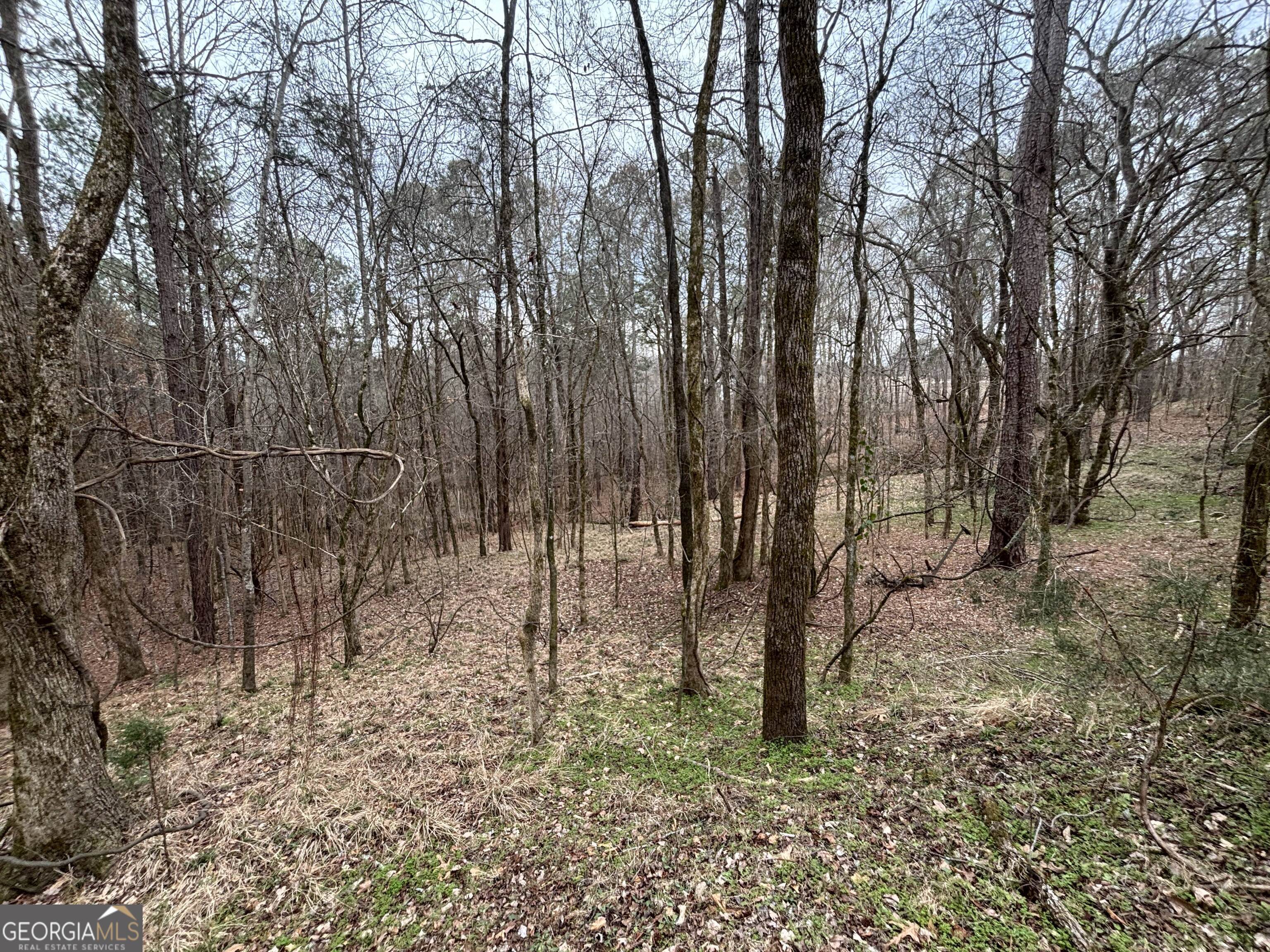 0 Oconee Rd Lot 1
