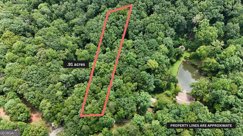 Photo of 105 Wooten Road, Cleveland, GA 30528 (MLS # 10828376)