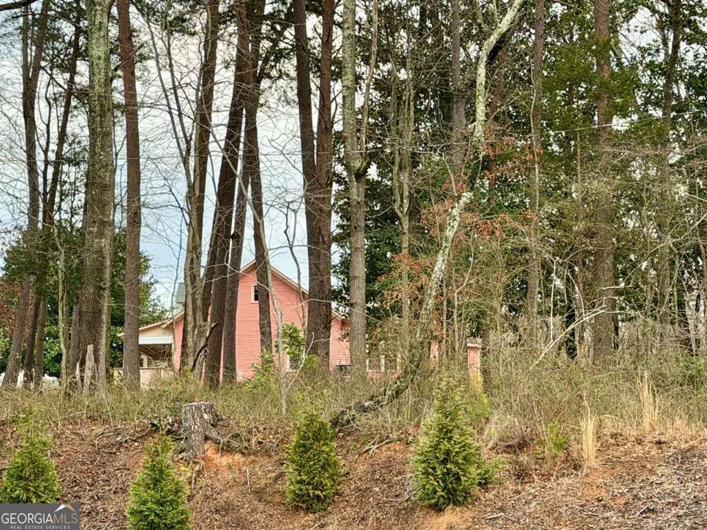Photo of 0 Academy Avenue, Dawsonville, GA 30534 (MLS # 10678980)