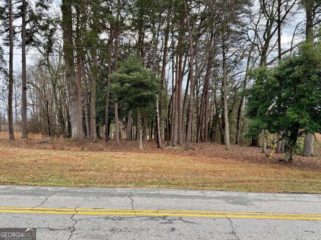 Photo of 0 Academy Avenue, Dawsonville, GA 30534 (MLS # 10678980)