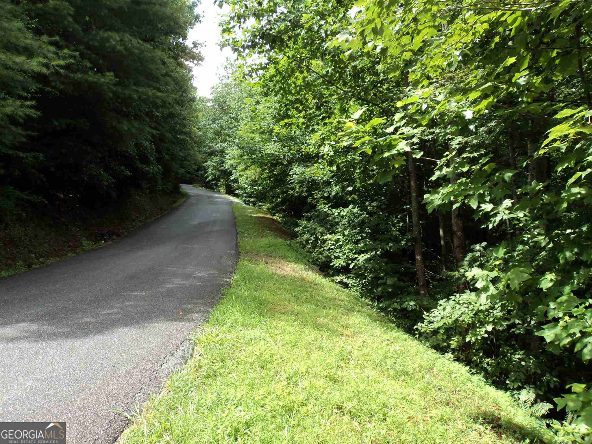 3.97 wooded acres with view in Wynngate at Dillard. Underground utilities...telephone, electric, DSL. Reasonable protective covenants. Paved roads.