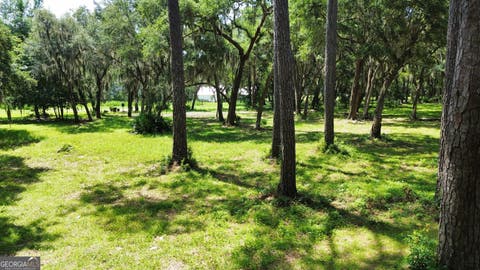 Photo of 0 Sutherland Bluff Drive, Townsend, GA 31331 (MLS # 10809164)