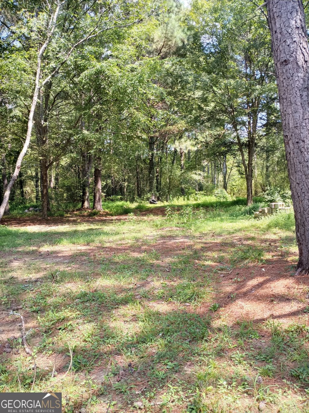 Photo of 430 June Kemp Rd, Aragon, GA 30104 (MLS # 10688386)
