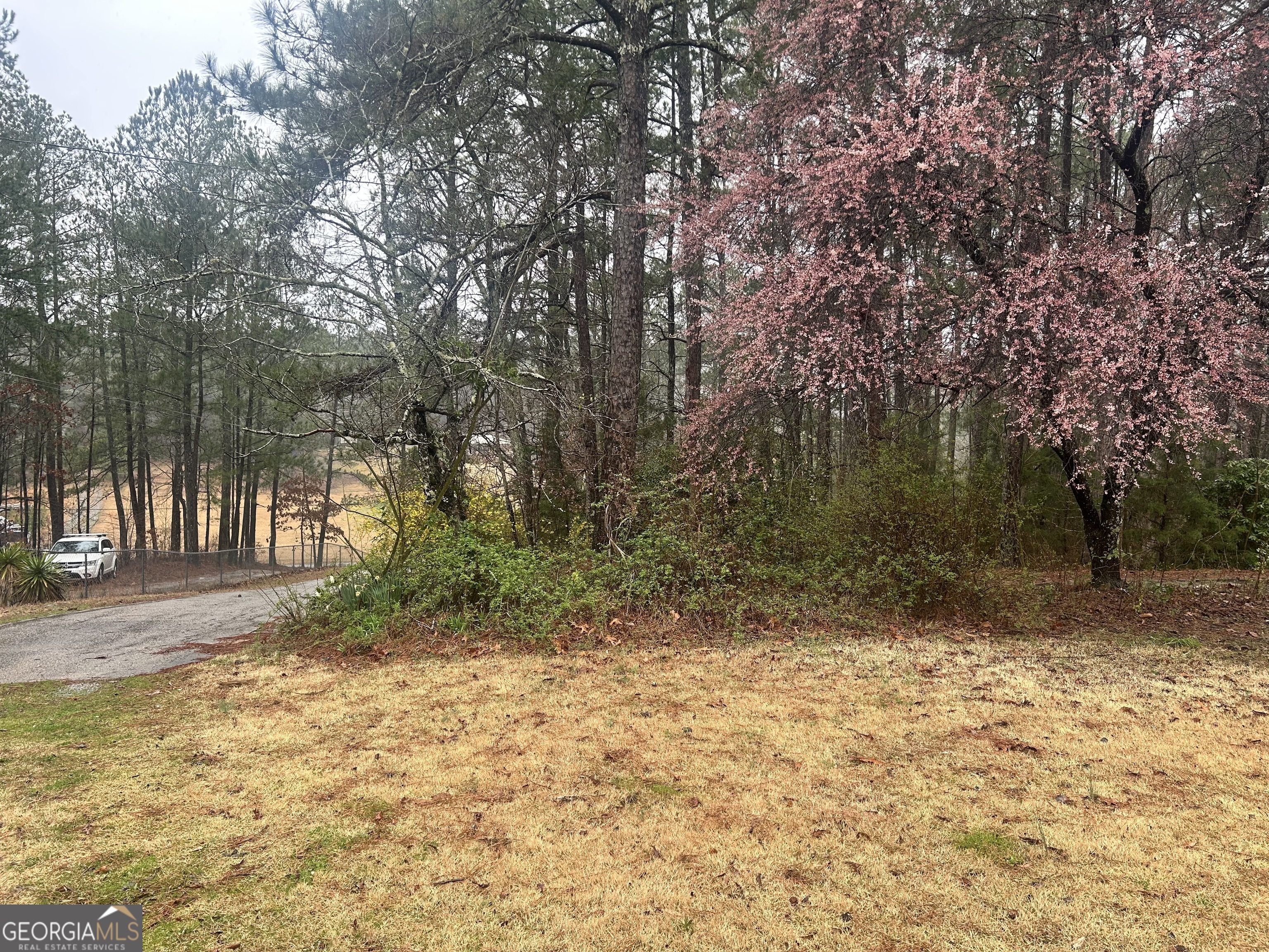 Franklin, Georgia 30217, United States, 3 Bedrooms Bedrooms, ,2 BathroomsBathrooms,Residential,Active,85974