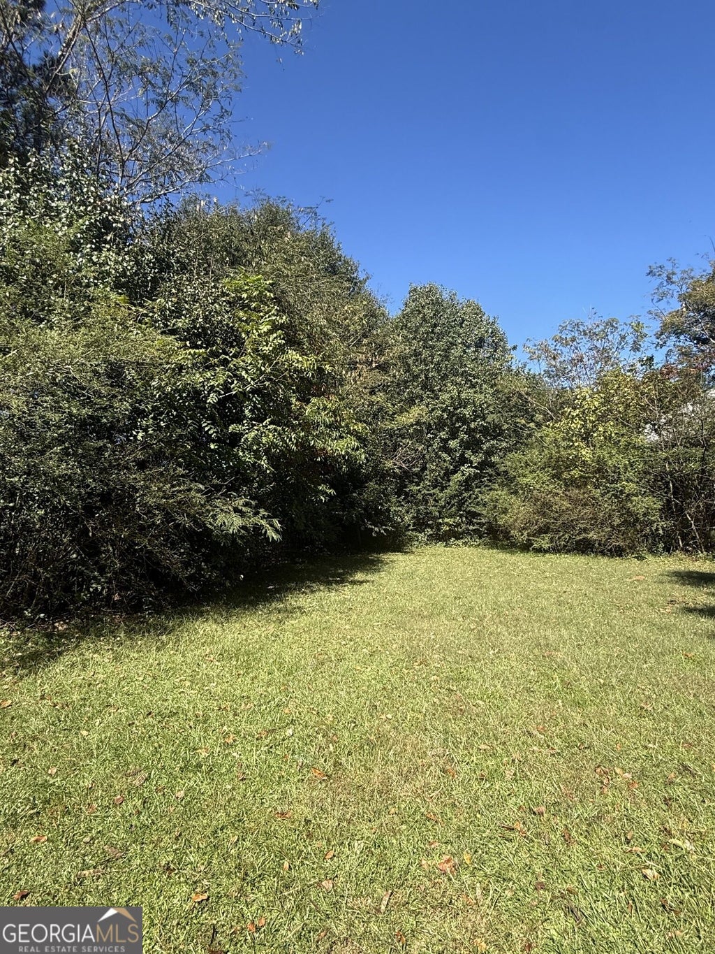 Photo of 2207 Rockmart Road, Villa Rica, GA 30180 (MLS # 10876154)