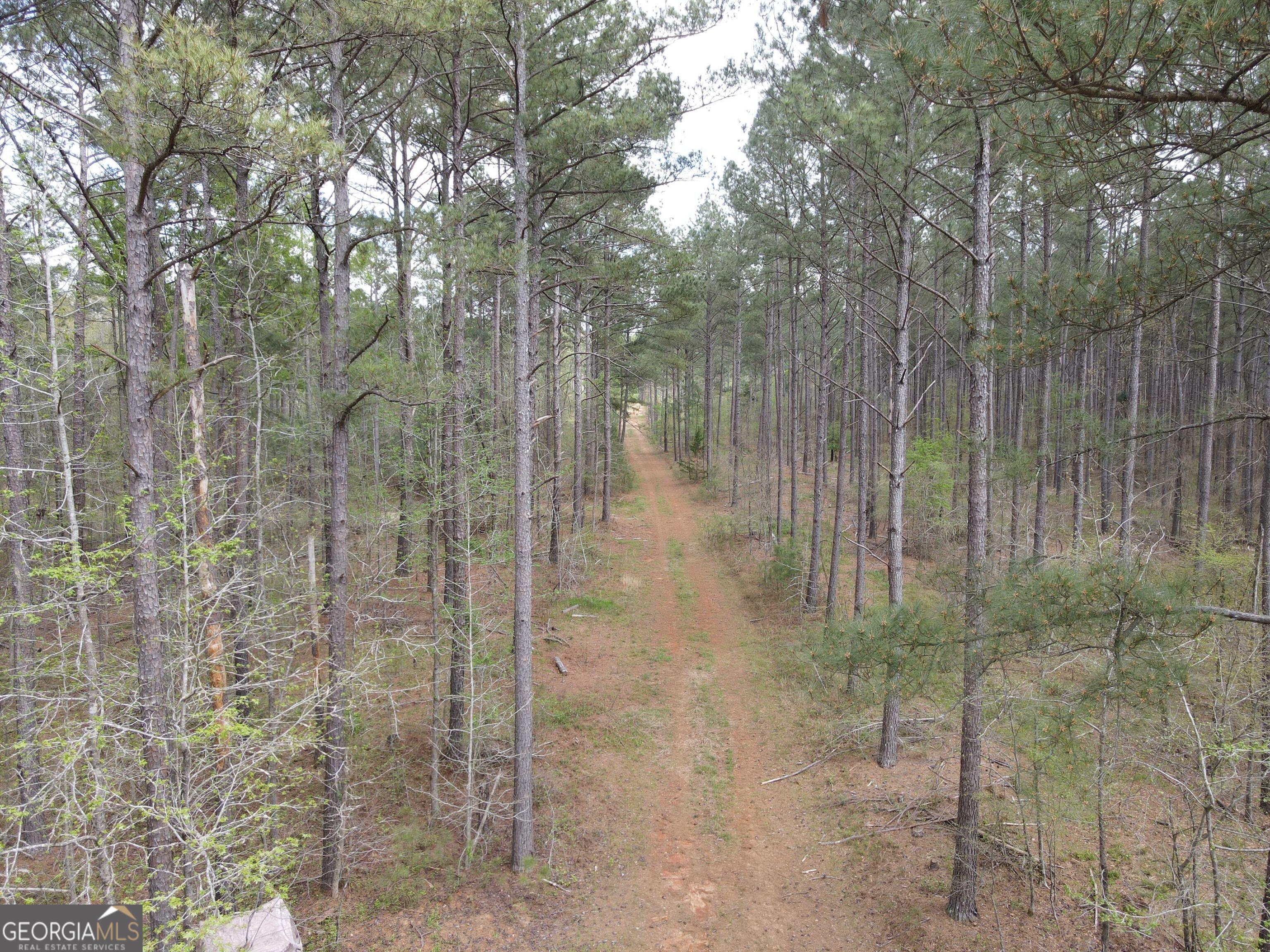 0 Parks Mill LN