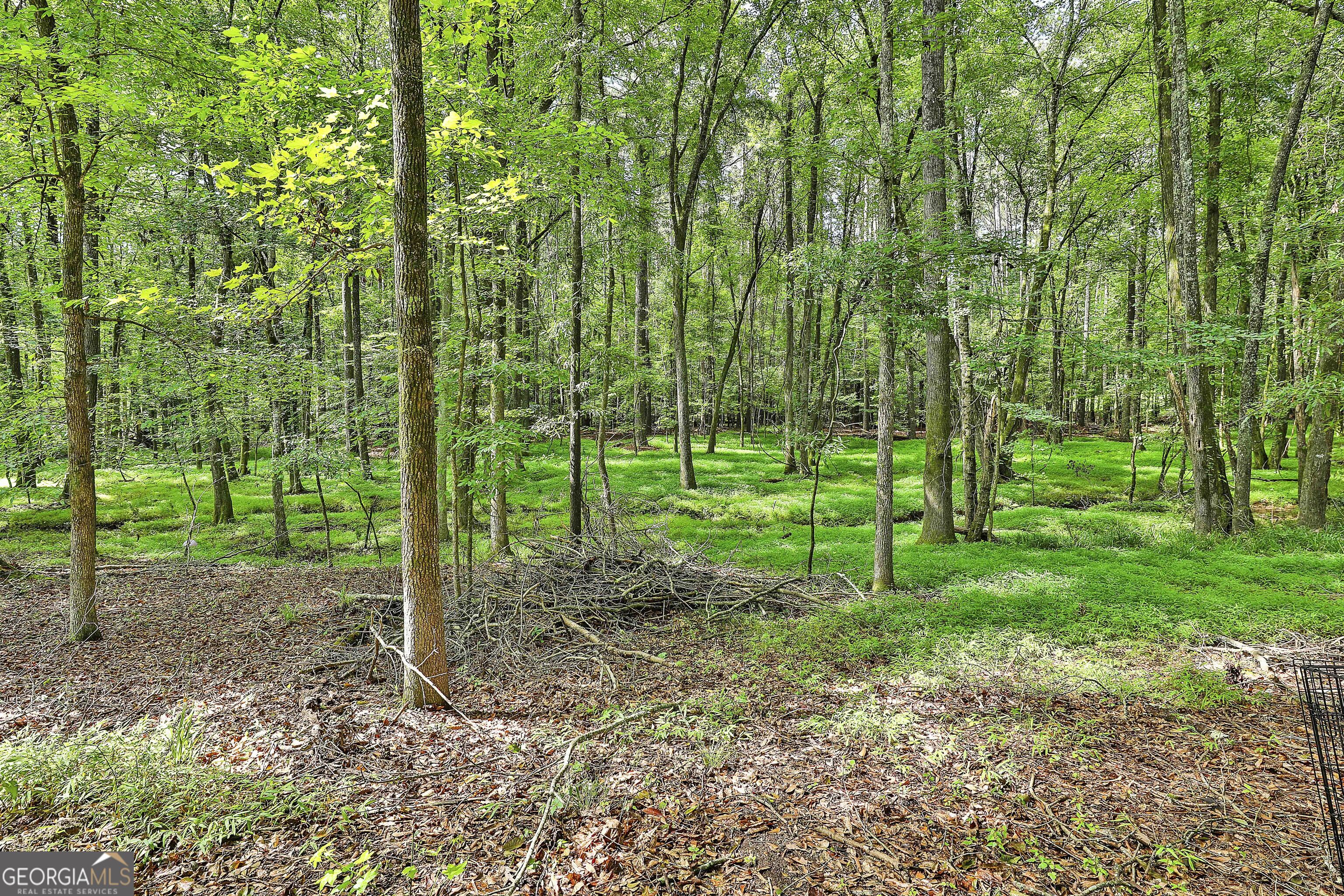 Peachtree City, Georgia 30269, United States, 3 Bedrooms Bedrooms, ,3 BathroomsBathrooms,Residential,Pending,171283