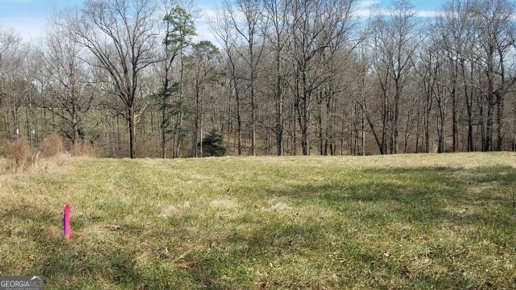 Photo of 0000 Hwy 51 N, Homer, GA 30547 (MLS # 10699316)