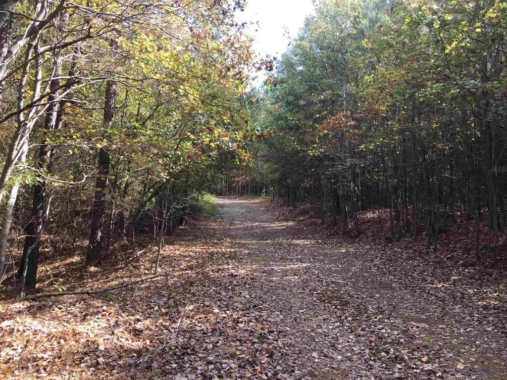 Photo of 0 Snow Springs Road #9520-EAST, Adairsville, GA 30103 (MLS # 20051679)