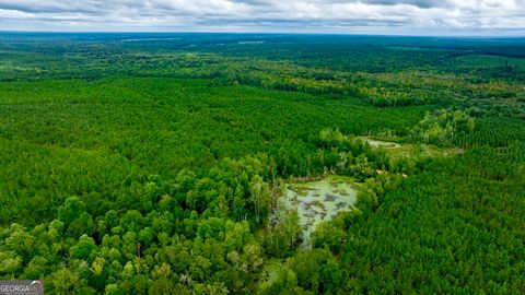 Photo of 0 Pine Creek Road, Ellaville, GA 31806 (MLS # 10590632)