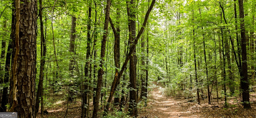 Photo of 0 Padgett Road, Senoia, GA 30276 (MLS # 10792003)