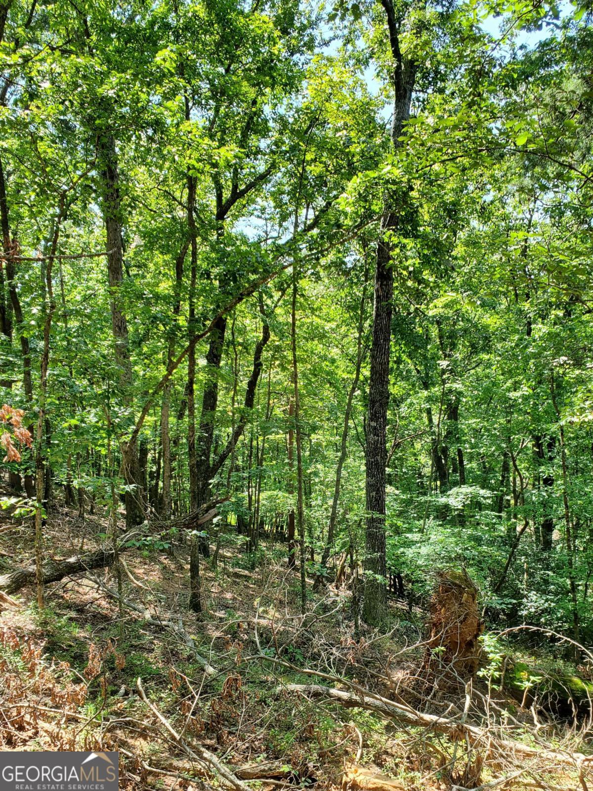 ENDLESS POSSIBILITIES AWAIT Hard to find Acreage on Asbury Mill Road. This parcel includes 13.48 acres of well appointed, tranquil, private, and usable land with a beautiful view of the mountains! This is a clean slate just waiting for you to build the home of your dreams! An area has already been cleared at the highest peak of the property for a potential homesite. Bring your vision to LIFE! Septic Tank and Building Permits have already been approved. A natural spring on the property forms a small branch that runs through it. It is conveniently located near schools, restaurants, shopping and Helen. Don't pass up this opportunity to own this rare find. Although it's steep, the driveway has already been roughed in and gravel put down. A recent survey has already been completed. Convenient to Cleveland, Dahlonega, and GA 400. Property sold as is, no disclosure. Purchaser responsible for verification of information. There is a driveway easement to access this property. Please notify agent with a courtesy text for all visits. You can locate the property by using the address for the adjacent property at 1491 Asbury Mill Rd.....turn into this driveway and park at the red gate to the left side. Please navigate the steep slope by foot and DO NOT drive (proper footwear recommended).