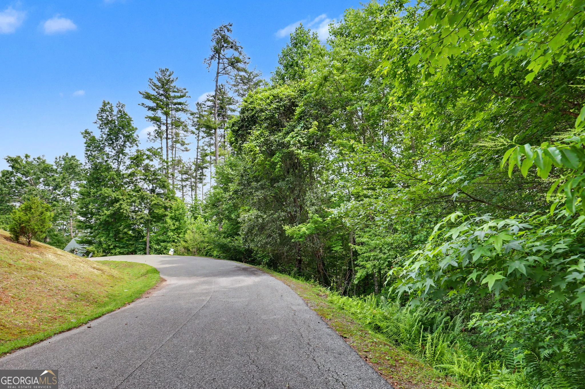 56 Walker Ridge Way