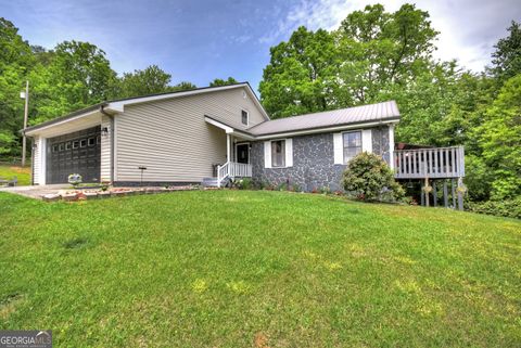 1359 Salem RD Mineral Bluff GA 30559