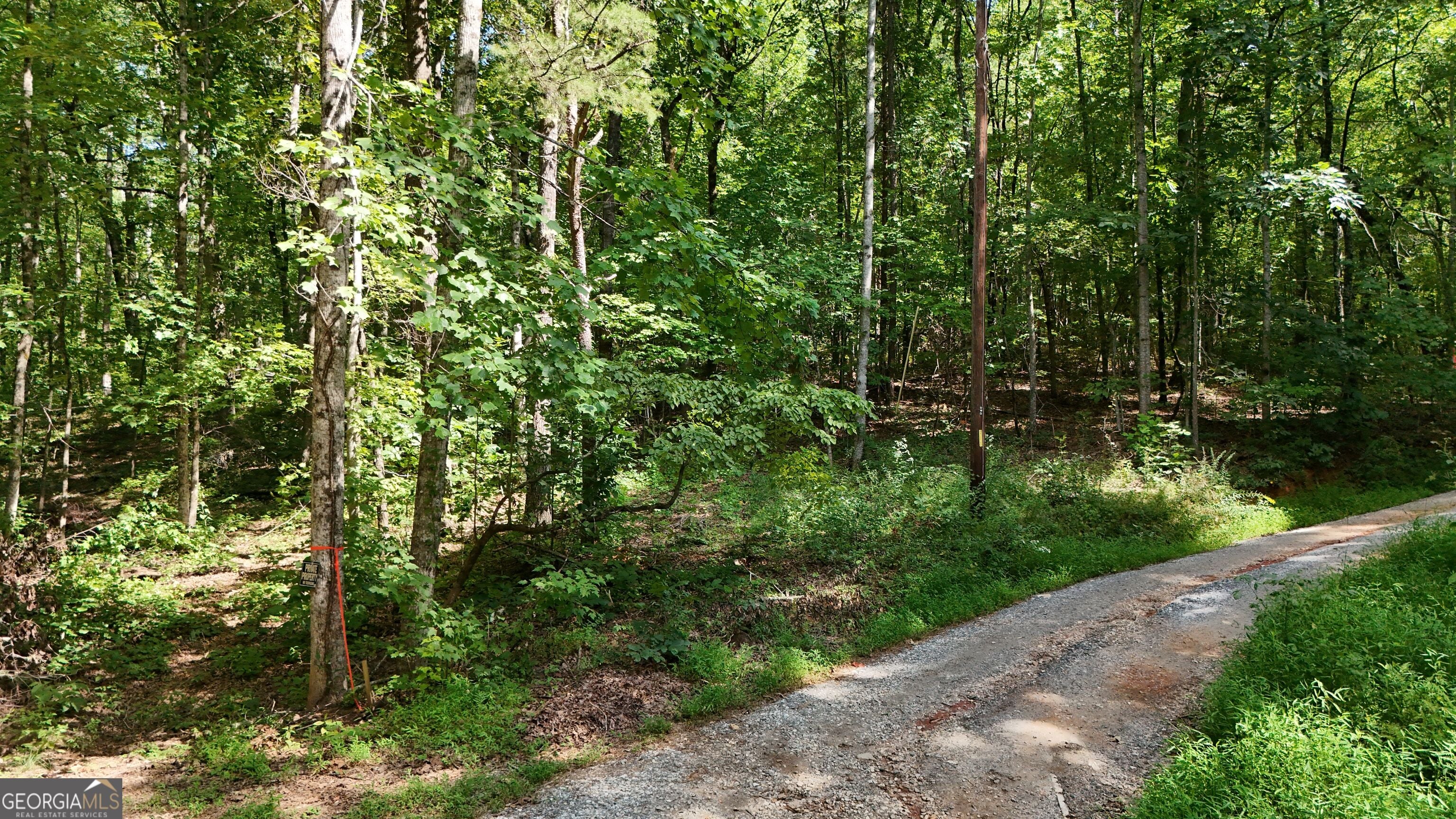 LOT 182 Hillside DR