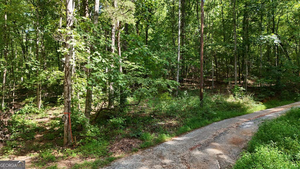 Photo of 182 Hillside Drive, Clarkesville, GA 30523 (MLS # 10830112)