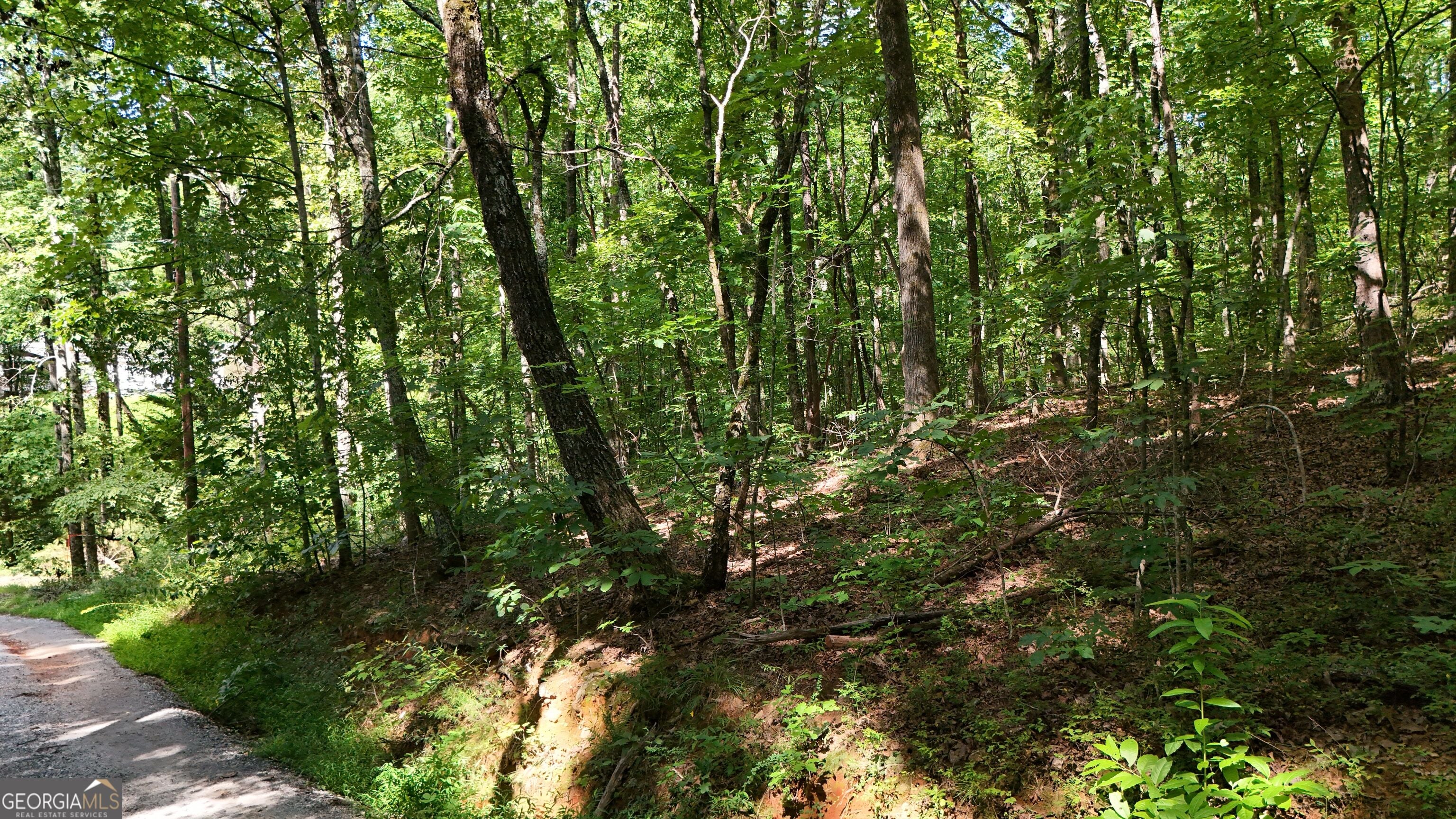 LOT 182 Hillside DR