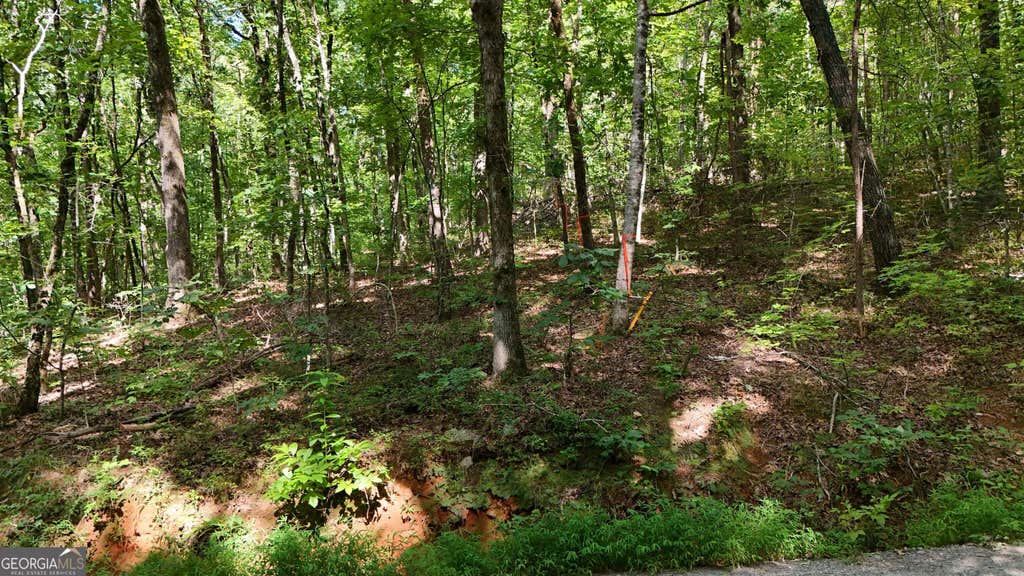 Photo of 182 Hillside Drive, Clarkesville, GA 30523 (MLS # 10830112)