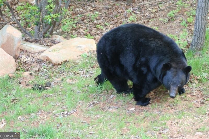 Jasper, Georgia 30143, United States, 6 Bedrooms Bedrooms, ,7 BathroomsBathrooms,Residential,Pending,78368