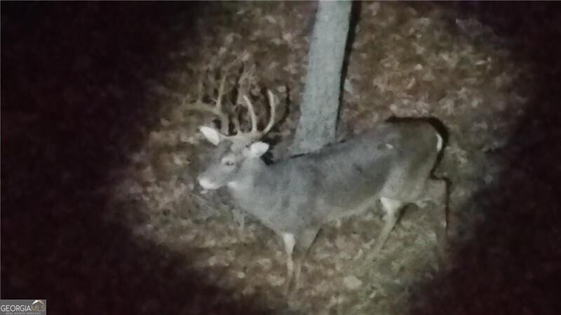 Jasper, Georgia 30143, United States, 6 Bedrooms Bedrooms, ,7 BathroomsBathrooms,Residential,Pending,78368