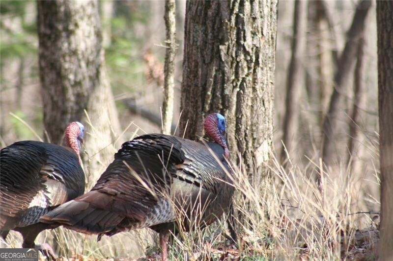 Jasper, Georgia 30143, United States, 6 Bedrooms Bedrooms, ,7 BathroomsBathrooms,Residential,Pending,78368