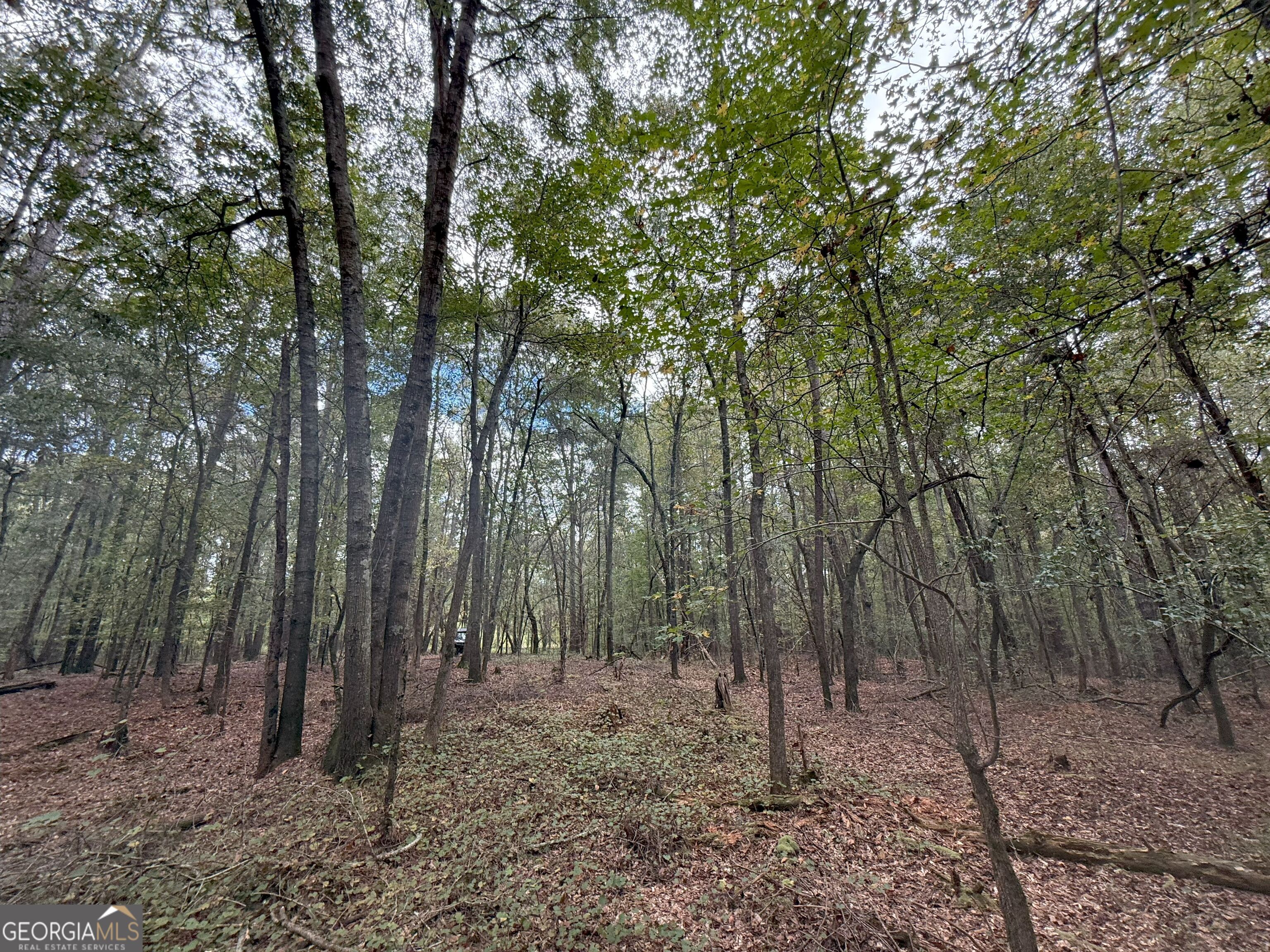 9990 Jefferson River RD