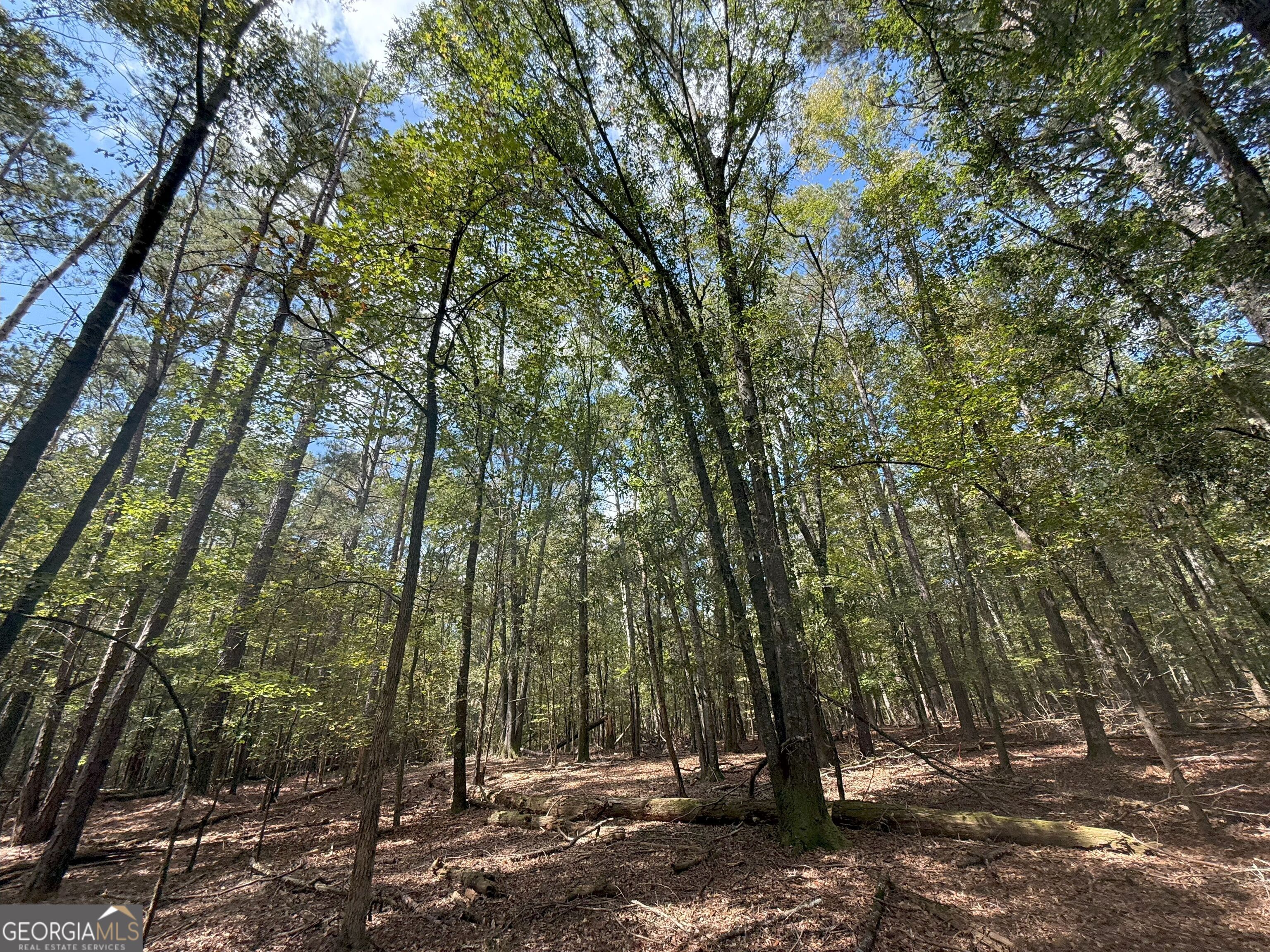 9990 Jefferson River RD