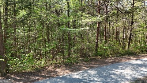 Photo of 0 Holcomb North Drive, Martin, GA 30557 (MLS # 10731324)