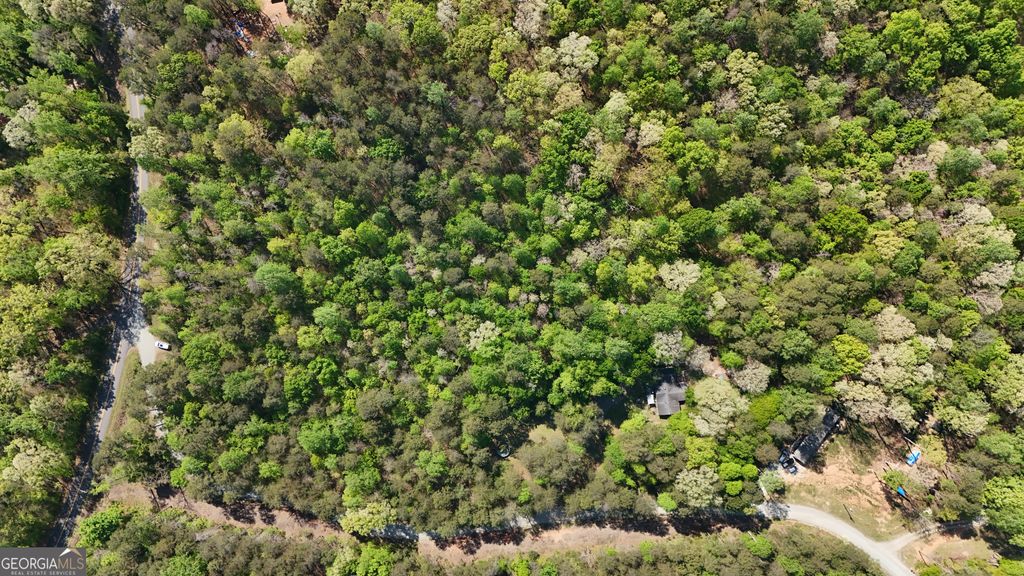 Photo of 0 Holcomb North Drive, Martin, GA 30557 (MLS # 10731324)