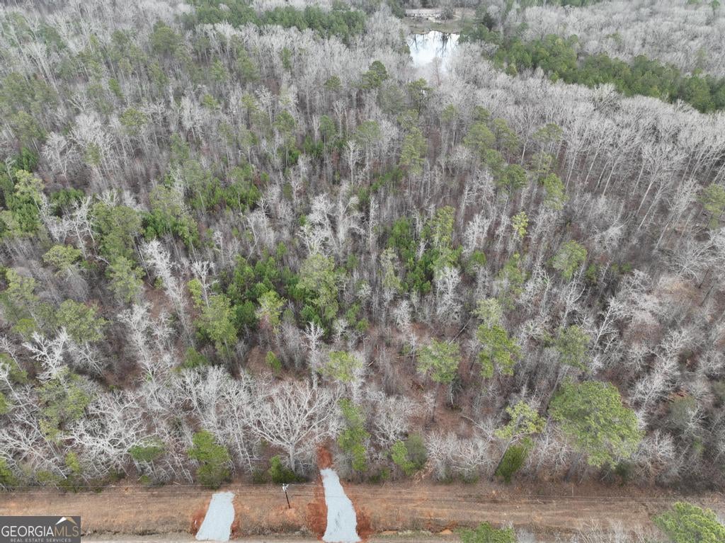 Photo of 183 Rock Creek Road, Flovilla, GA 30216 (MLS # 10796428)