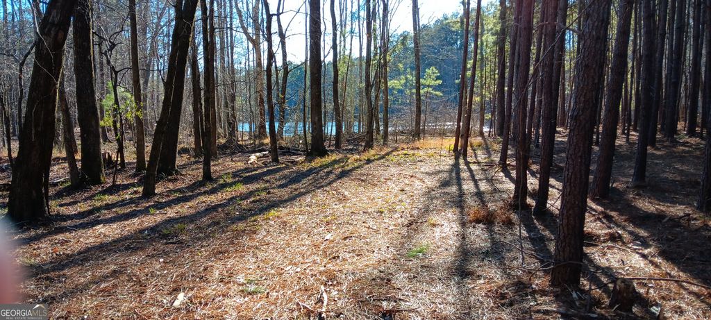 Photo of TRACT D Cedardale Drive/sweetbriar Lane, Griffin, GA 30224 (MLS # 20156060)