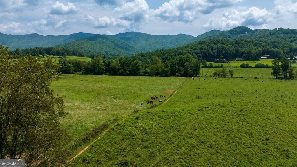 51.20 AC Bethabara Road, Hayesville, NC, 28904