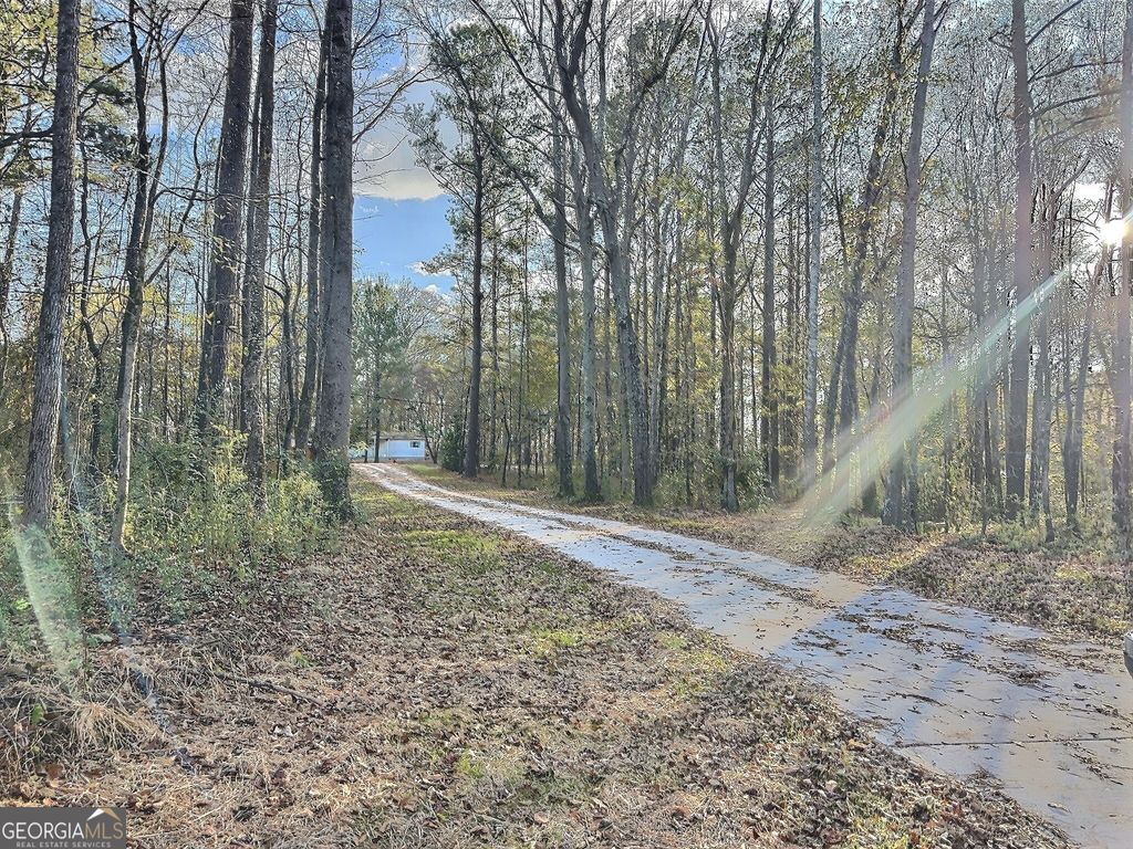 Photo of 79 Lamb Road, Moreland, GA 30259 (MLS # 10688348)