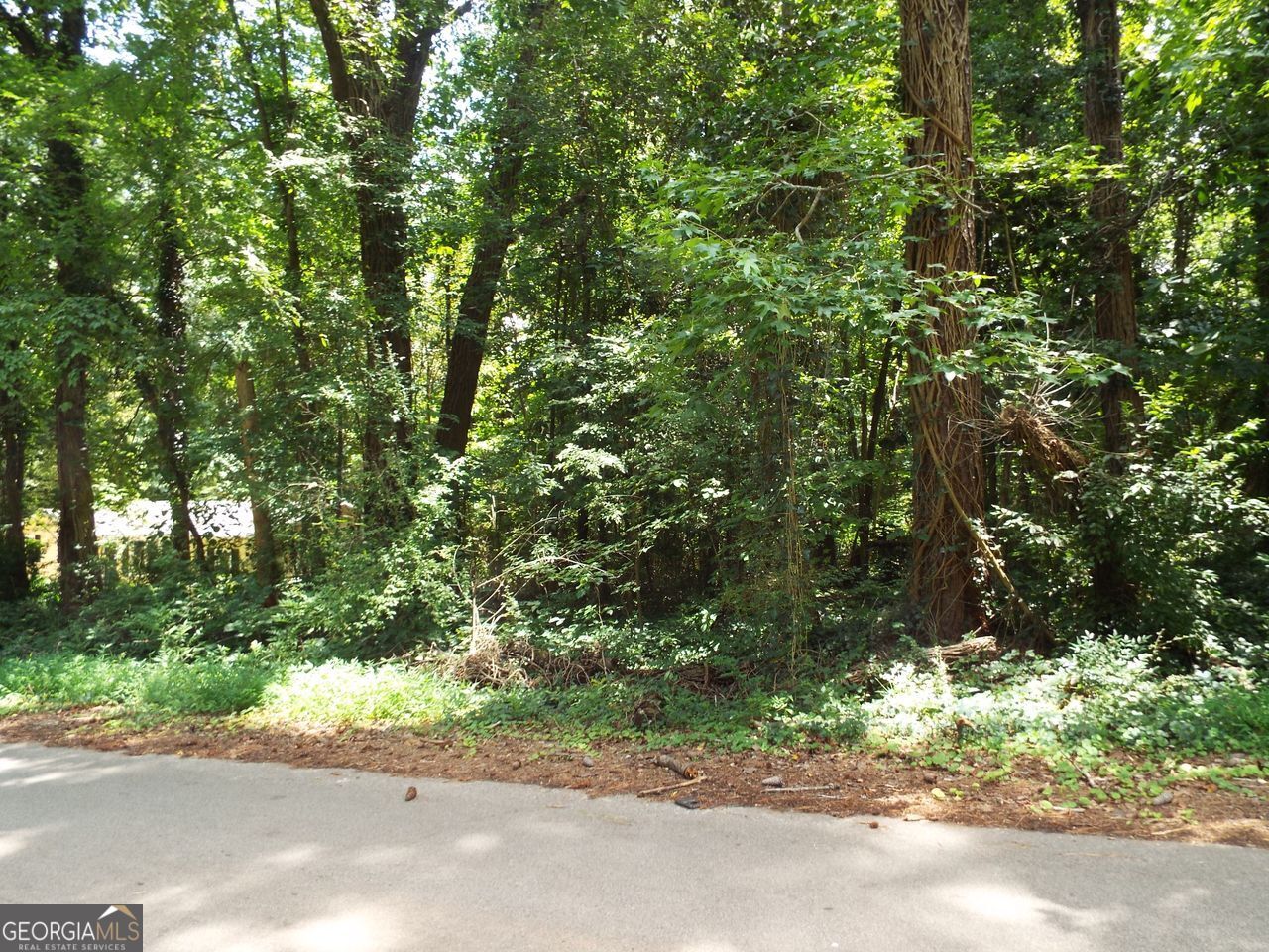 0 Swan Lake Rd-Lot 4 E