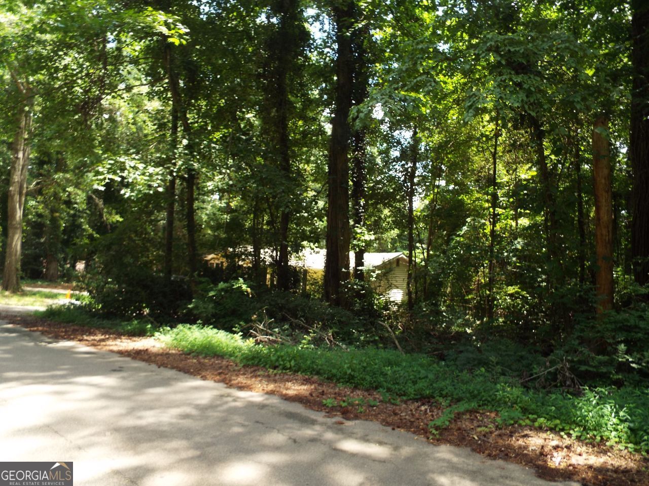 0 Swan Lake Rd-Lot 4 E