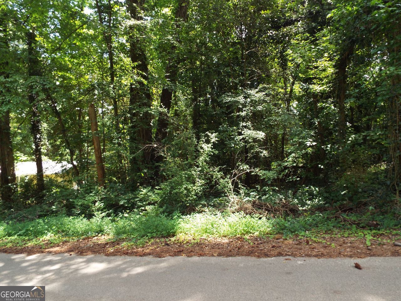 0 Swan Lake Rd-Lot 4 E